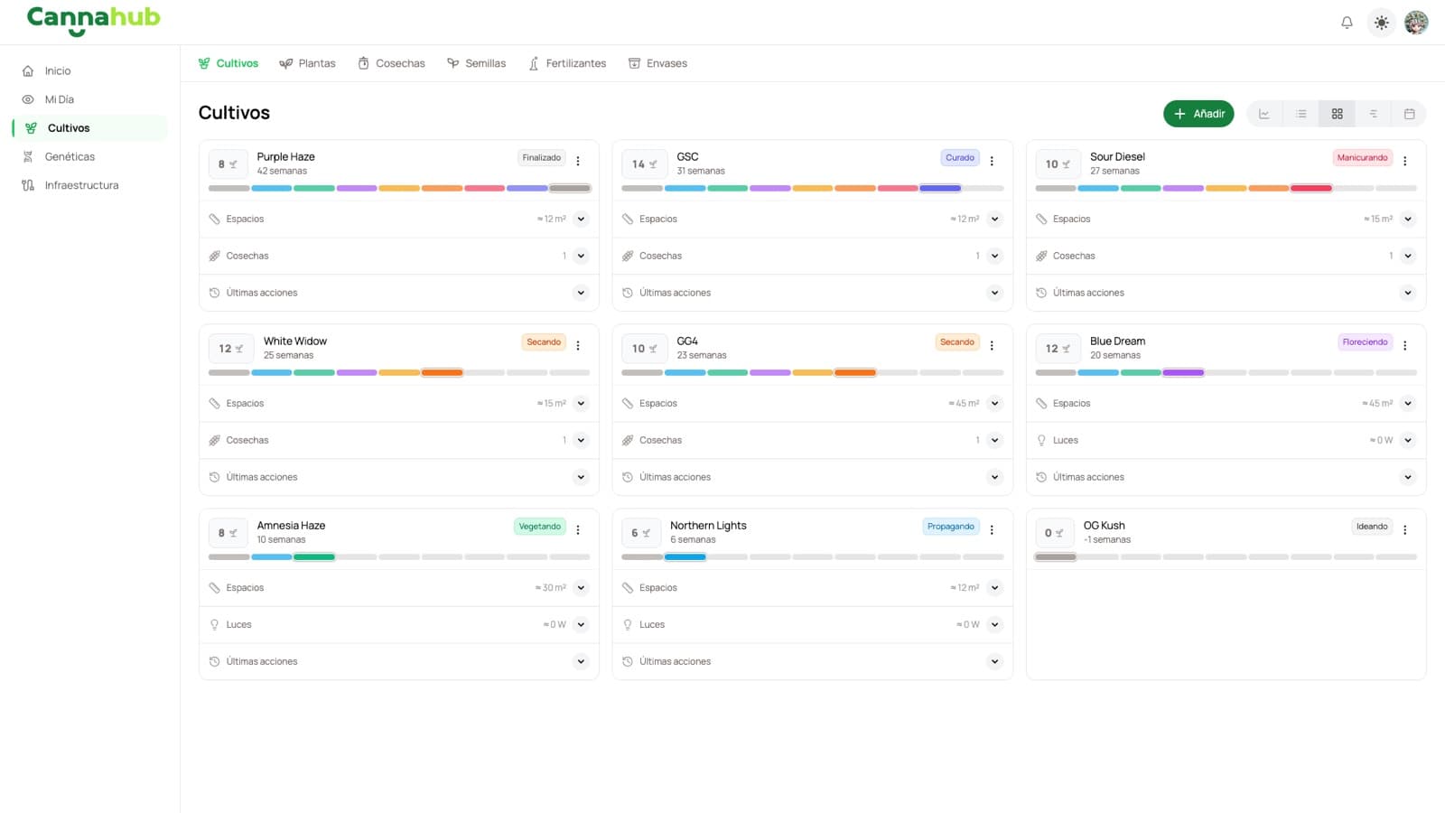 CannaHub strain library showing genetics with THC and CBD levels